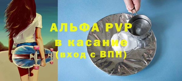 индика Аркадак