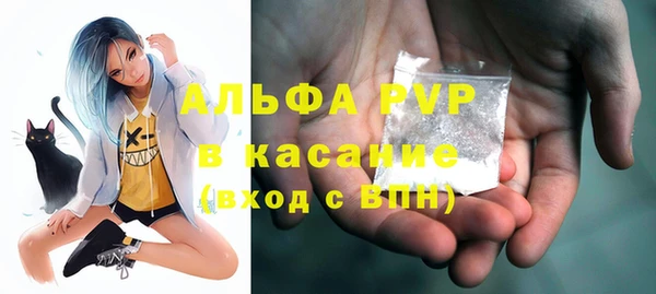 индика Аркадак