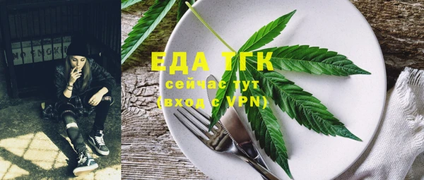 индика Аркадак