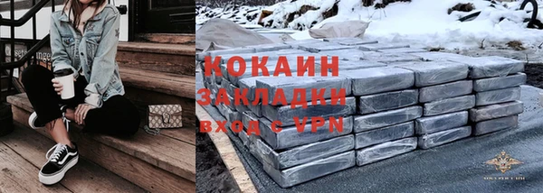 индика Аркадак