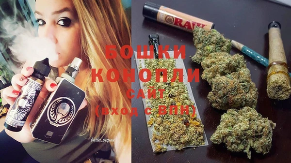 индика Аркадак